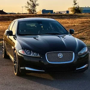 jaguar